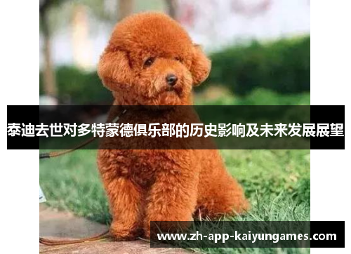 泰迪去世对多特蒙德俱乐部的历史影响及未来发展展望