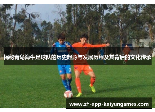 揭秘青岛海牛足球队的历史起源与发展历程及其背后的文化传承
