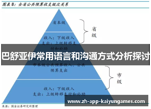 巴舒亚伊常用语言和沟通方式分析探讨