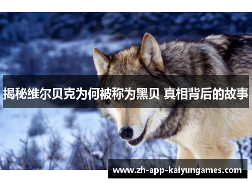 揭秘维尔贝克为何被称为黑贝 真相背后的故事