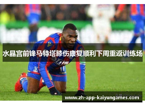 水晶宫前锋马特塔膝伤康复顺利下周重返训练场 水晶宫前锋马特塔膝伤康复顺利下周重返训练场